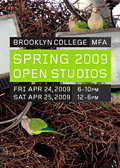 Brooklyn College Open Studios Spring 2009; photo by Steve Baldwin at brooklynparrots.com